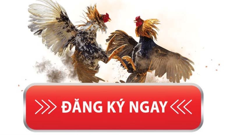 Giới thiệu tổng quan về sv268