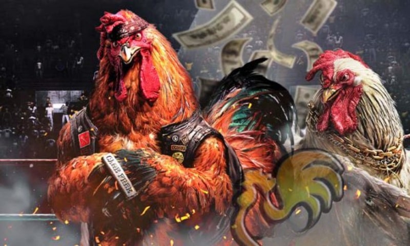 Điều khoản và điều kiện của SV268 đối với tài khoản thành viên