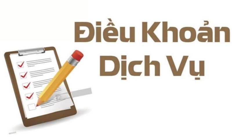 Điều khoản và điều kiện về trách nhiệm của đôi bên