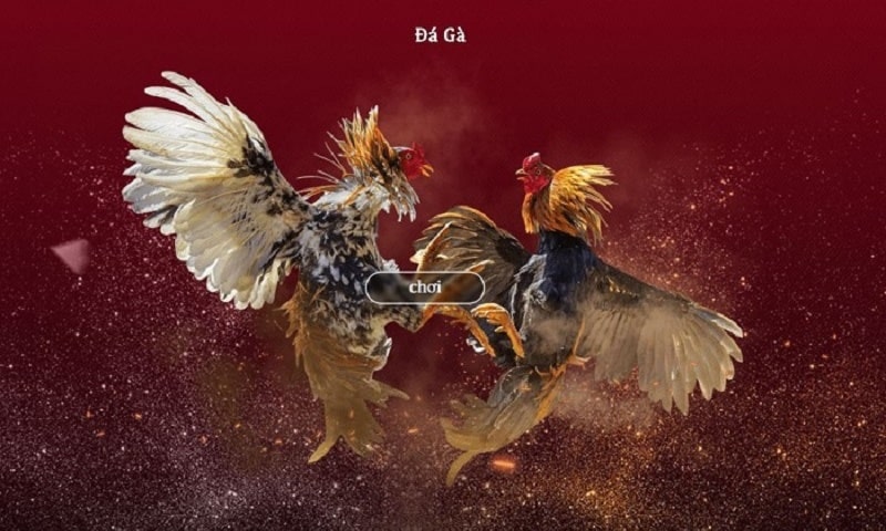 Quá trình thanh toán tại SV268 diễn ra vô cùng nhanh chóng, an toàn